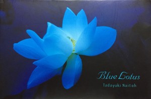 blue lotus１