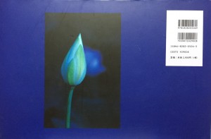 blue lotus２
